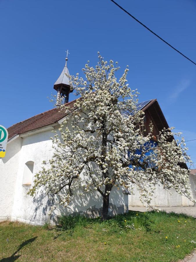 Ferienwohnung Rupp Argenbuhl 외부 사진